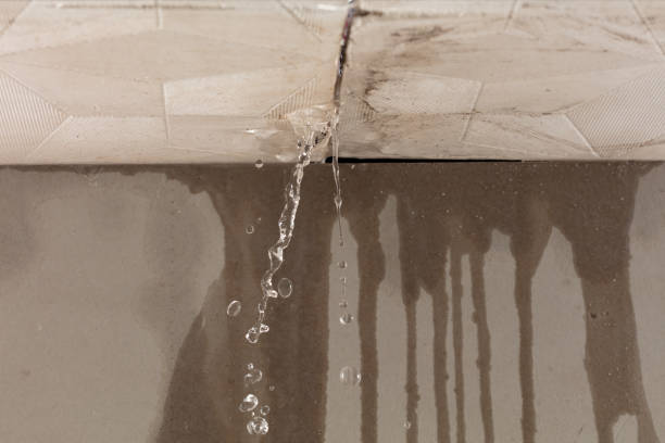 Professional Structural Drying technician working in Newark, AR